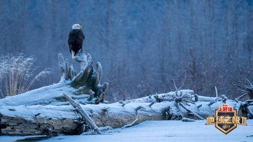 穿越极致美洲,探寻神秘与自然的奇迹之旅