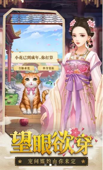 王妃娘娘闯现代(天后修炼手册),王妃娘娘的现代修炼之旅